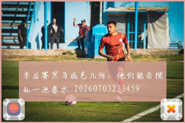 季后赛黑马成色几何,他们能否搅乱一池春水_20260703233459